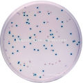 Кормовые добавки bacillus subtilis bacillus clausii